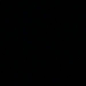 Meet your Posher, Chase